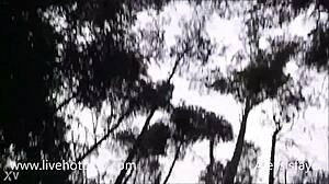 couple sucks tits and fucks deep in forest outfit play