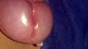 Penis