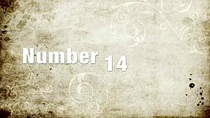 Vintage Bizarre Fetish Reveals Hairy Pussy Secret Life!