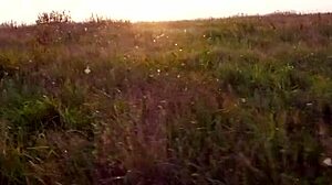 Horny Blonde Teen Fucked Hard Doggystyle By Taxi Driver In Outdoor Public Car Cumshot At Sunset