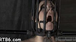 i crave that tight pussy in hardcore bdsm pounding