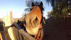 arabic prince gets so horny he rips clothes for rough outdoor pussy fuck