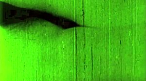 vintage drawings showcase antique retro art