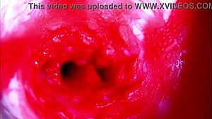 Hear my moans as extreme closeup dives inside pregnant wet pussy asmr