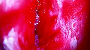 Hear my moans as extreme closeup dives inside pregnant wet pussy asmr