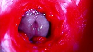 Hear my moans as extreme closeup dives inside pregnant wet pussy asmr