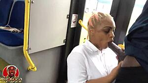 Public Bus Sucker Honey Rose Swallows Huge Black Cock Deep? 