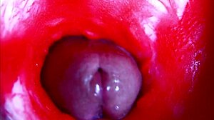 Hear my moans as extreme closeup dives inside pregnant wet pussy asmr