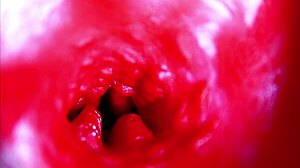 Hear my moans as extreme closeup dives inside pregnant wet pussy asmr