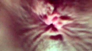 russian cutie in miniskirt and stockings, want me fucking your tight anus doggy style?