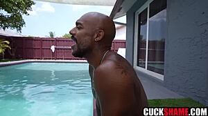 wife, you really gonna fuck my black friend while i watch?
