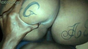 BBW anal creampie fist fuck ends with hot swallow