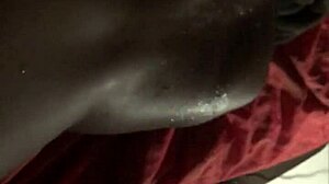 Haitian Queen Moans on Cock! Florida Caribbean Heat Takes Over Her?