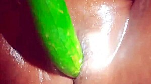 indian village wife fucking cucumber right? 