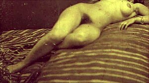 my secret life reveals top twenty vintage hairy beaver beauties