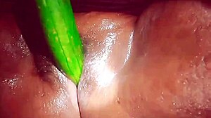 indian village wife fucking cucumber right? 