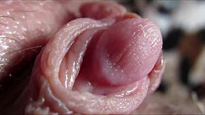 closeup view of throbbing big clit pulsing to intense orgasm