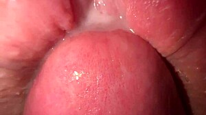 i crave pounding my stepsister's tight creamy pussy in sneaky quickie