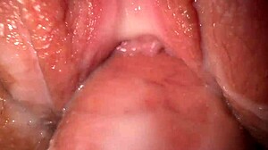 i crave pounding my stepsister's tight creamy pussy in sneaky quickie