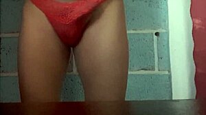 My wife models her panties perfectly in sexy lingerie tonight