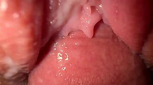 i crave pounding my stepsister's tight creamy pussy in sneaky quickie