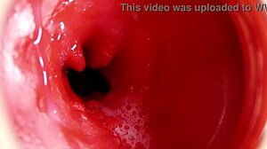 What if camera dives inside oiled pussy for 4k asmr monster cum flood view?