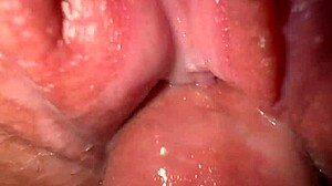 i crave pounding my stepsister's tight creamy pussy in sneaky quickie