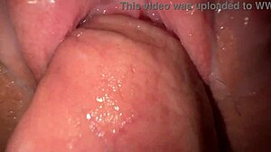 i crave pounding my stepsister's tight creamy pussy in sneaky quickie