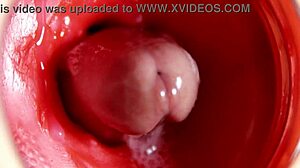 What if camera dives inside oiled pussy for 4k asmr monster cum flood view?