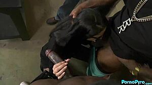 avi love cucks her older rich boyfriend with those big black cocks