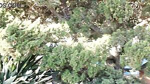 heart pounding caught masturbating shaved pussy outdoors in balboa park horny solo