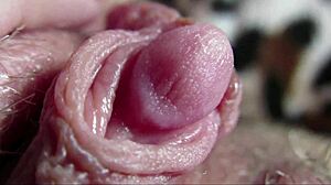 amateur's big clit throbs in intense closeup orgasm
