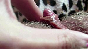 amateur's big clit throbs in intense closeup orgasm