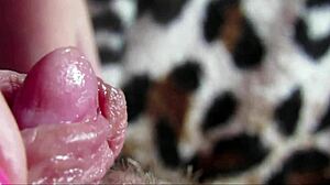 amateur's big clit throbs in intense closeup orgasm