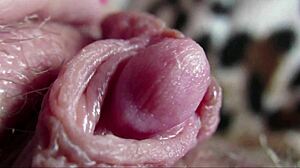 amateur's big clit throbs in intense closeup orgasm