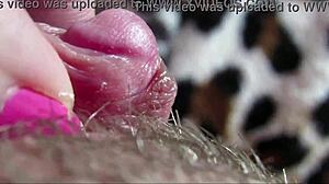 amateur's big clit throbs in intense closeup orgasm