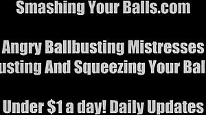 hey busting your balls is totally my job around here