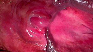 WOW, Amateur Pink Pussy Looks So Tight 215 Days After Losing Virginity!