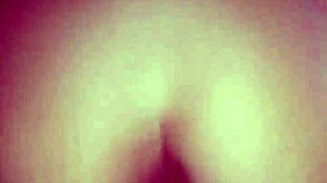 Perrita rides cock reverse cowgirl then bends for rough doggystyle cum