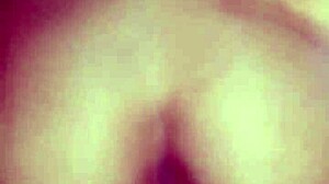 Perrita rides cock reverse cowgirl then bends for rough doggystyle cum
