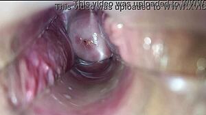 Hd Close-Up Pulsating Vagina Orgasm Intensifies