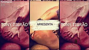 tirando leite de tigre trailer completo no red