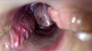 Hd Close-Up Pulsating Vagina Orgasm Intensifies