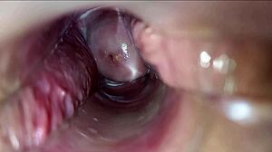 Hd Close-Up Pulsating Vagina Orgasm Intensifies