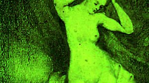 Vintage Erotic Drawings Showcase Hairy Beaver And Antique Pussy Closeups In Retro Style