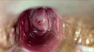 Hd Close-Up Pulsating Vagina Orgasm Intensifies