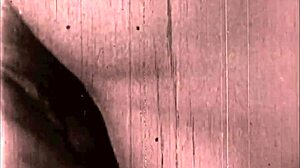 Vintage Erotic Drawings Showcase Hairy Beaver And Antique Pussy Closeups In Retro Style