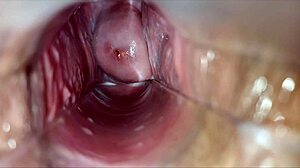 i feel a pulsating orgasm inside vagina