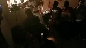 cougars having fun at the party