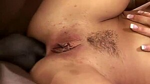 texas presley gets pounded by big black cock!
